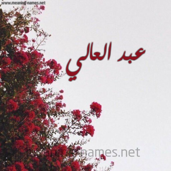 شكل 18 صوره الورد الأحمر للإسم بخط رقعة صورة اسم عبد العالي Abd-elali